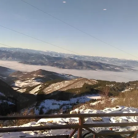 Silver Mountain Milmari *