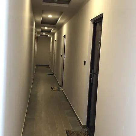 Silver Mountain Milmari