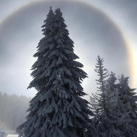 아파트 Silver Mountain Milmari