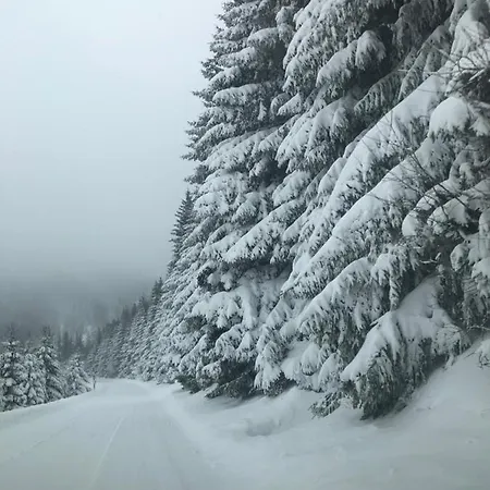 Silver Mountain Milmari Kopaonik