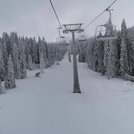 Silver Mountain Milmari * Kopaonik