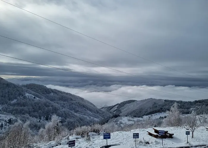 Silver Mountain Milmari