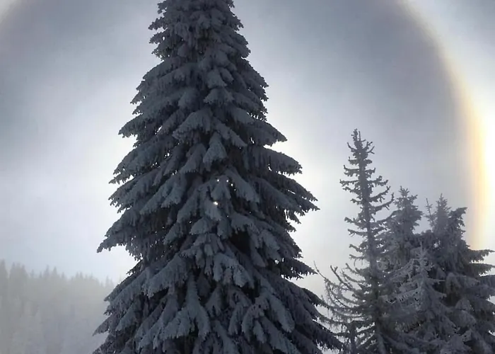 Διαμέρισμα Silver Mountain Milmari