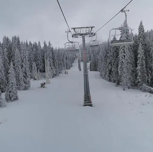 Silver Mountain Milmari * Κοπαόνικ